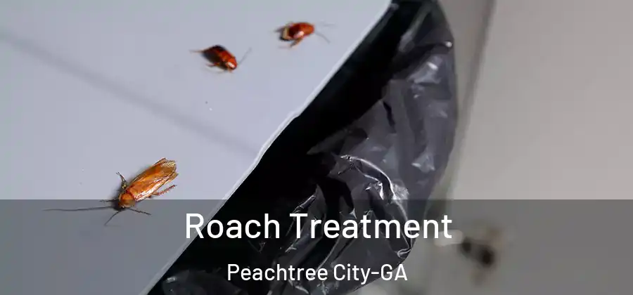 Roach Treatment Peachtree City-GA