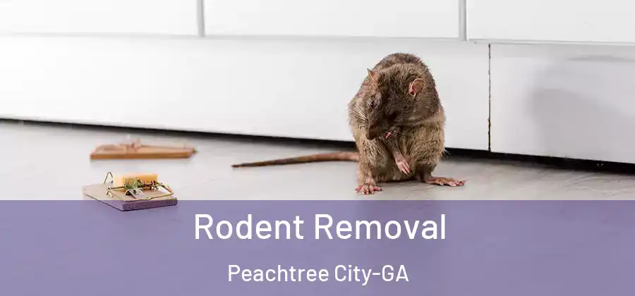 Rodent Removal Peachtree City-GA