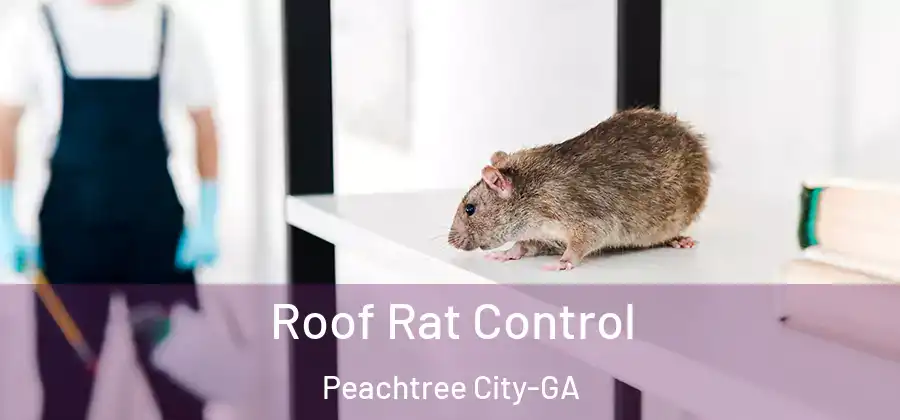Roof Rat Control Peachtree City-GA