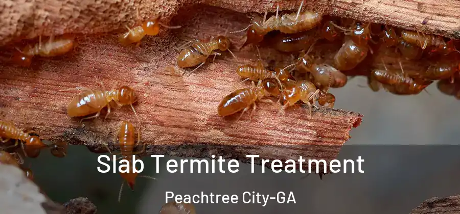 Slab Termite Treatment Peachtree City-GA