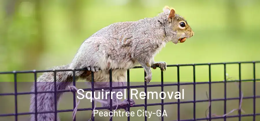Squirrel Removal Peachtree City-GA