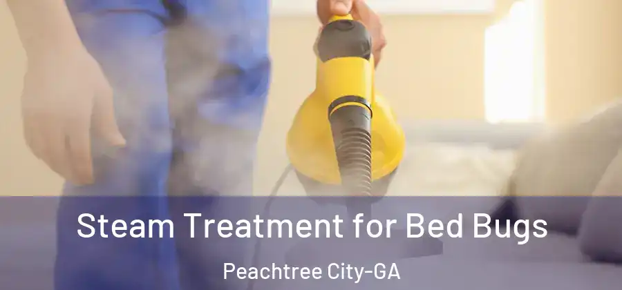 Steam Treatment for Bed Bugs Peachtree City-GA