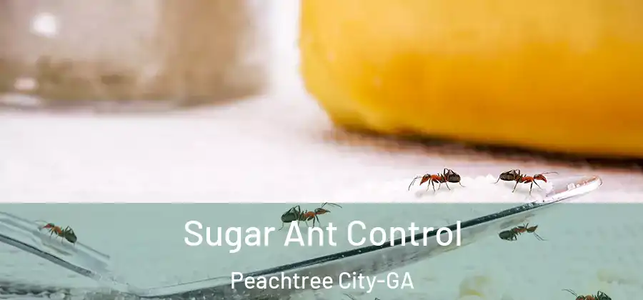 Sugar Ant Control Peachtree City-GA