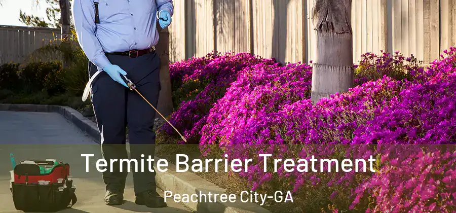 Termite Barrier Treatment Peachtree City-GA