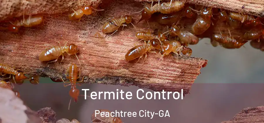 Termite Control Peachtree City-GA