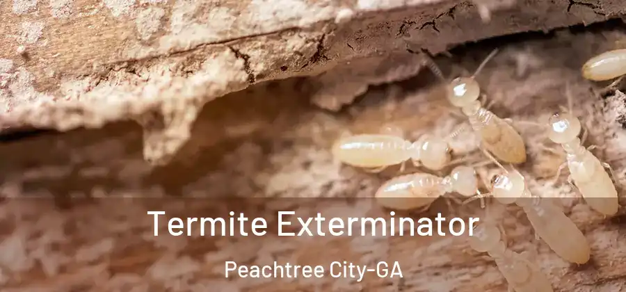 Termite Exterminator Peachtree City-GA