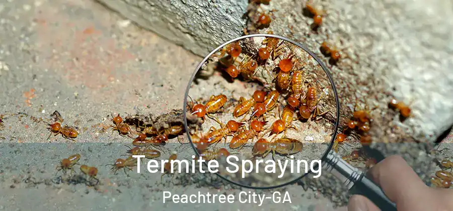 Termite Spraying Peachtree City-GA