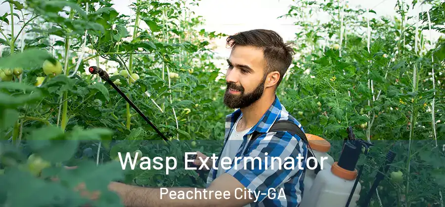 Wasp Exterminator Peachtree City-GA