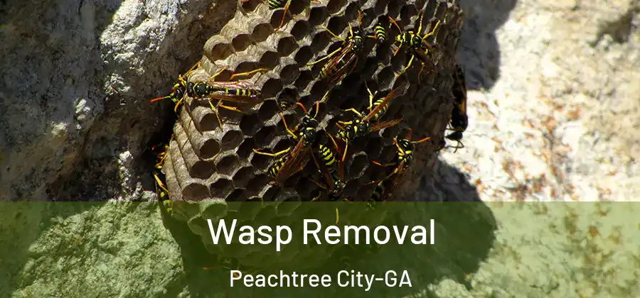 Wasp Removal Peachtree City-GA
