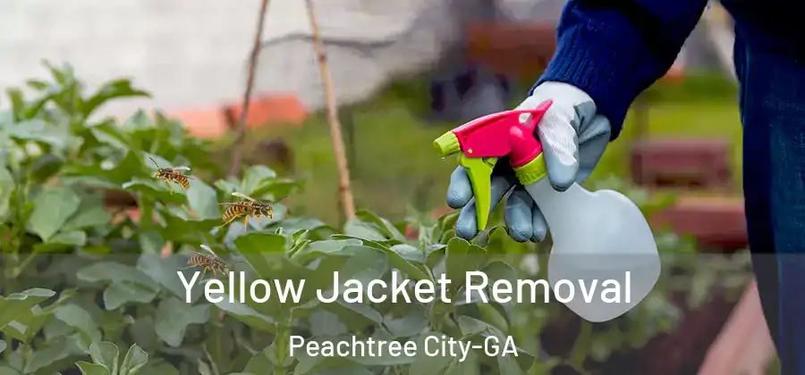 Yellow Jacket Removal Peachtree City-GA